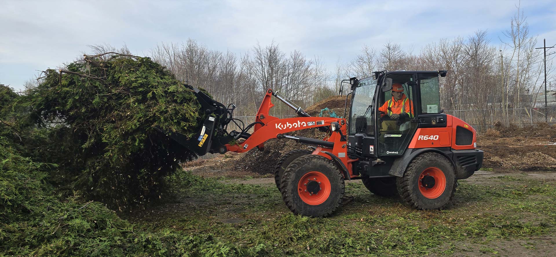 Déchicteuse forestier